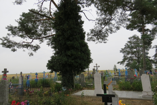 Verhovichsky ivy plantation