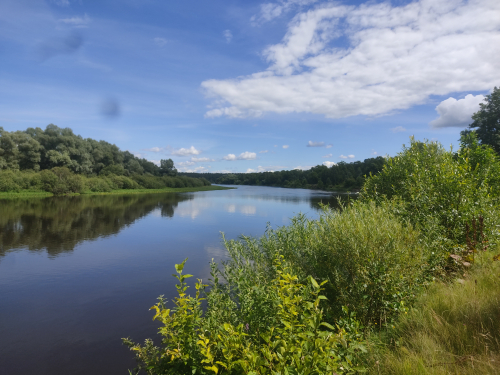 Пойменная дубрава