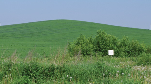 Гора «Курган»