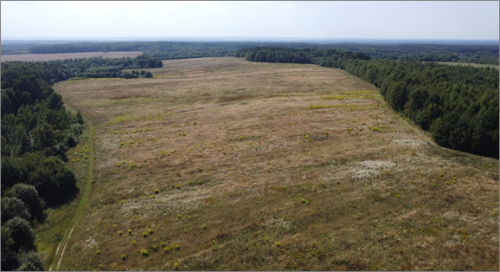 Гора Мироткова