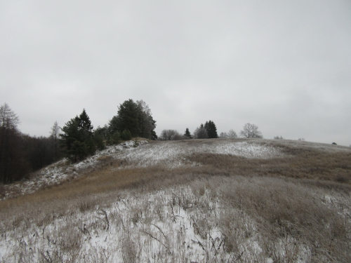 Гора «Барсучиха»