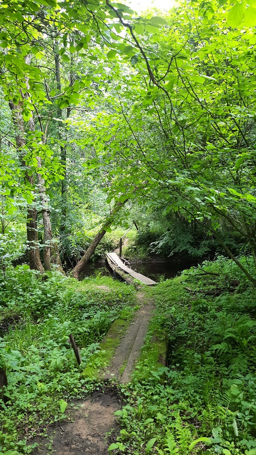 Криница «Альховская»