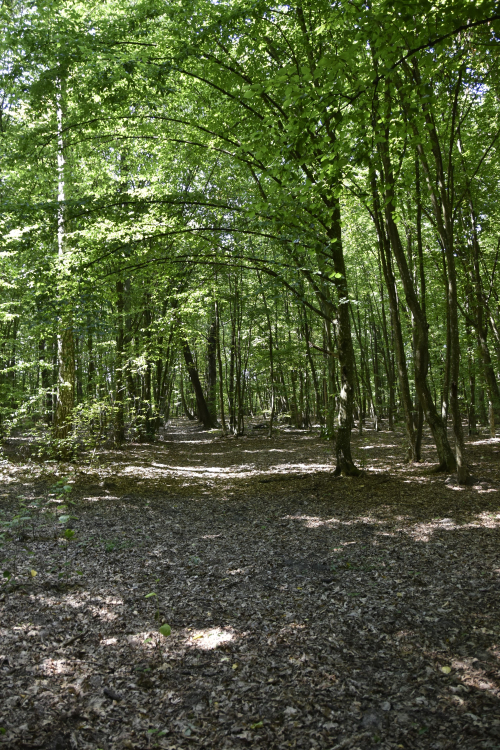 Molochevshchina park