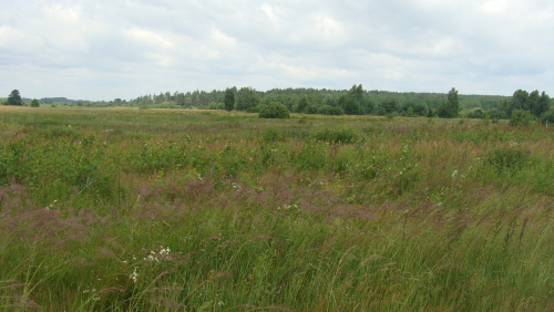 Заказник «Голомукское»
