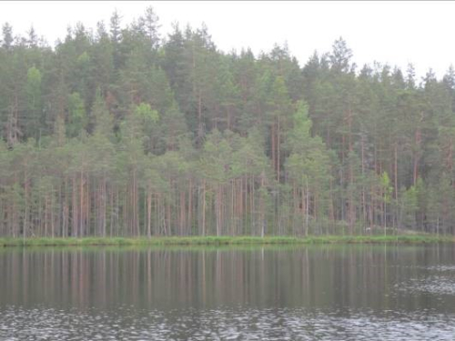 Streshnicky upland area