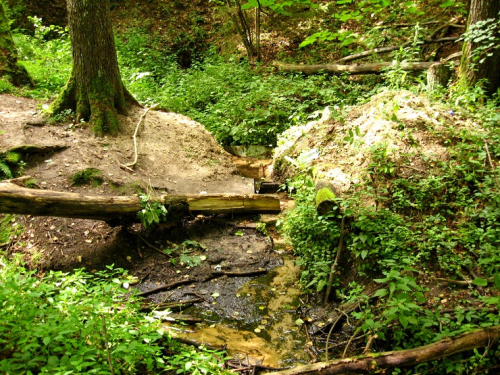 Plebanishki spring