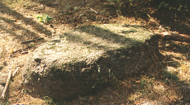 Валун «Большой камень» пашевичский