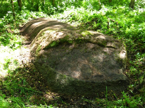 Bolshoj Kamen Gudishkinsky boulder