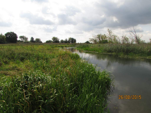 Grodnenskaya Svisloch