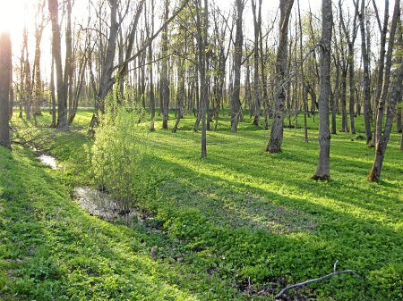 Massoljany old park estate
