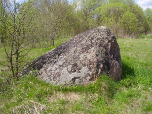 Bolshoj Kamen Skripkinsky boulder