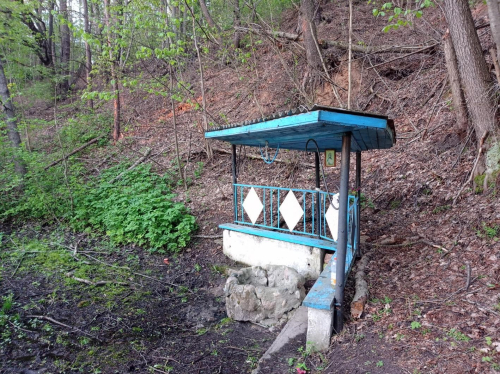 «Природная криница д.Тупичино»