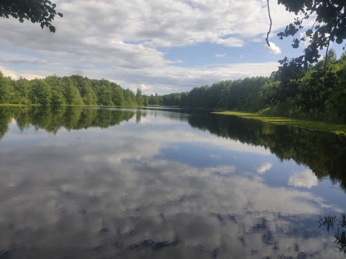 Заказник «Дубовский каскад озер»