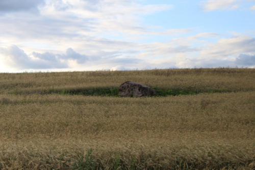 Berezovskie boulders