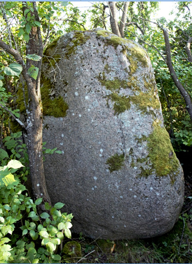 Boulder in the village of Jakubovichy