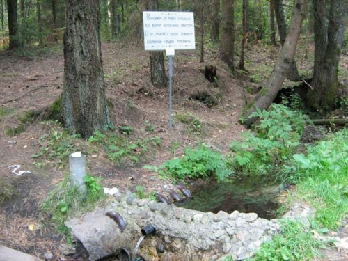 Родник около д. Радима