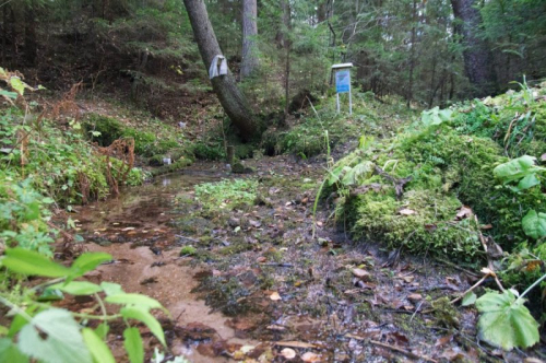 Родник «Святая вода»