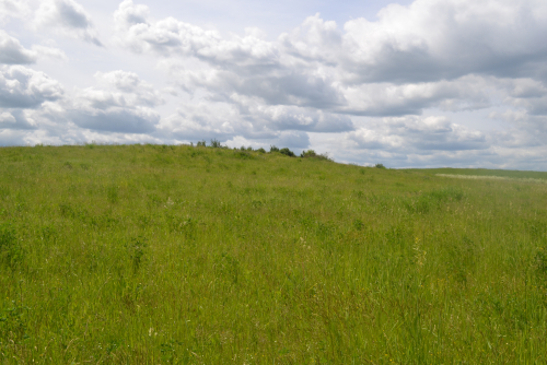 Reserve Malinovshchinskye Uplands