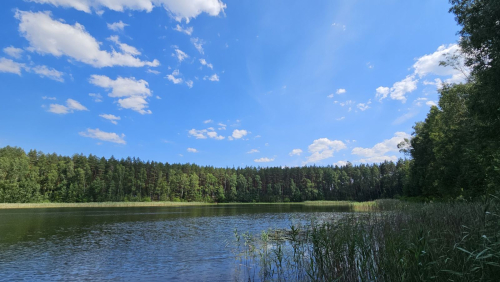 Заказник «Гродненская пуща»