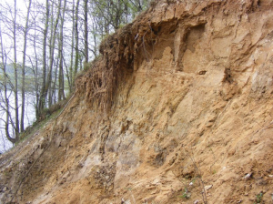 Обнажение «Заславль»