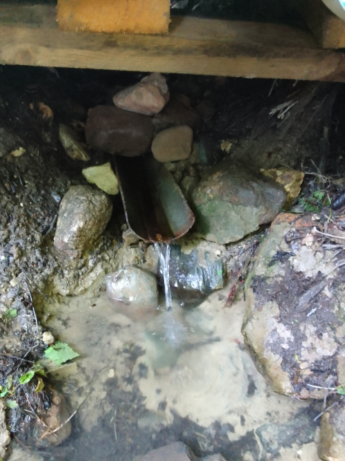 Родник «Лесной»