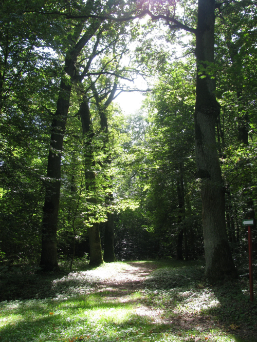 Porechje park