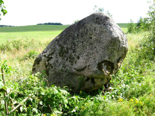 Ginevsky boulder -2