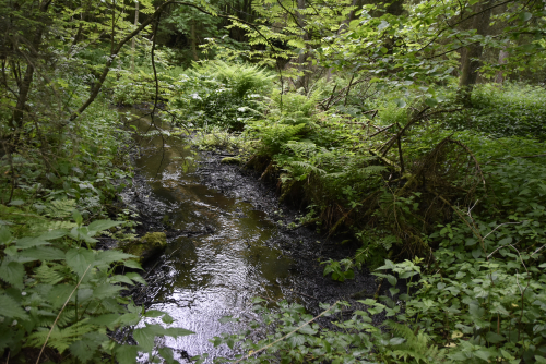 Svjataya Voda (Jesus) spring