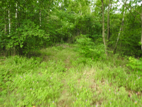 Cheremushno Razdialovichskie Islands