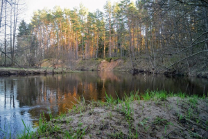 Обнажение «Поповцы»