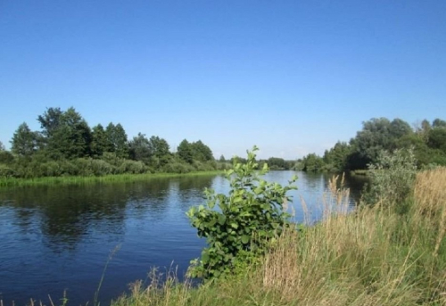 Ptich River Floodplain