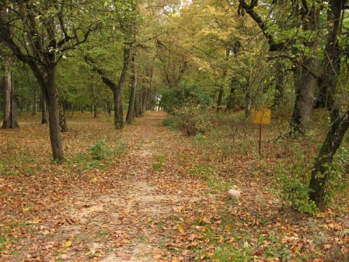 Rutkevichi park