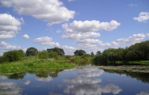 Заказник «Омельнянский»