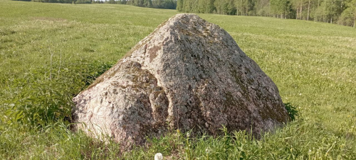 Лидин камень Гречушинский