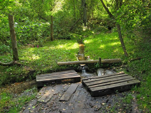 Eliza Ozheshko spring