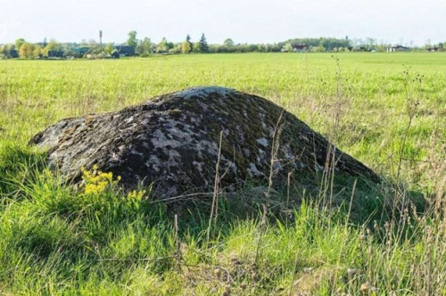 Большой камень дядичский