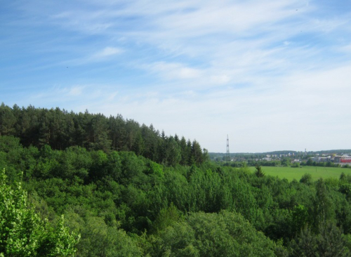 «Нижнинский ров»