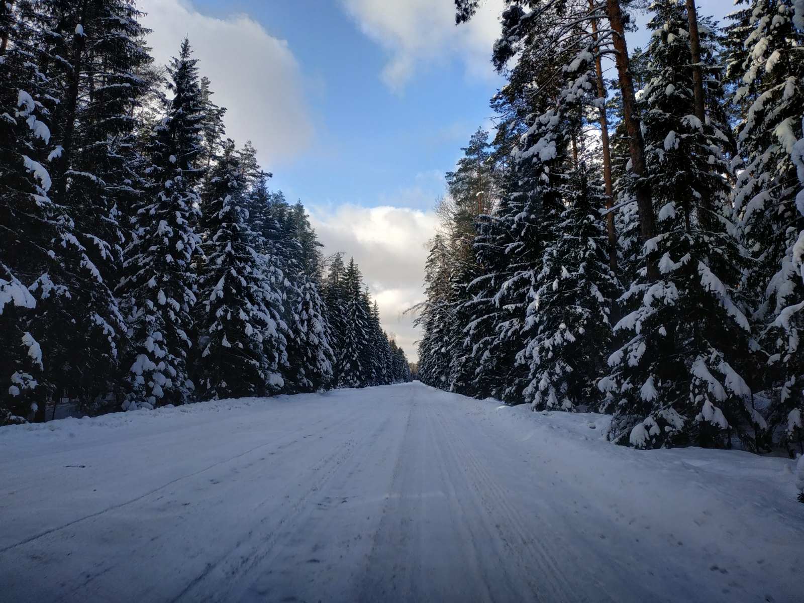 Krasnyi Bor Nature Reserve