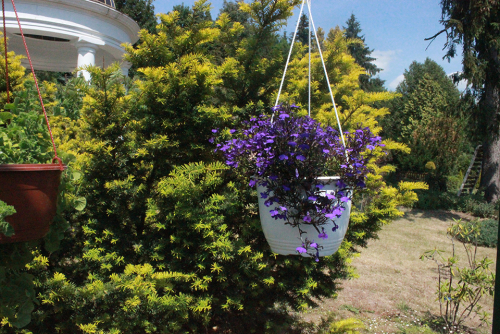 Дендрологический парк в г.Горки