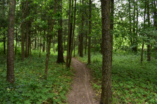 Жорновский дендросад