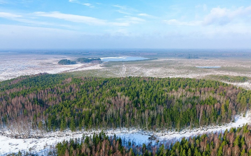 Veliky Mokh Yukhovichsky nature reserve