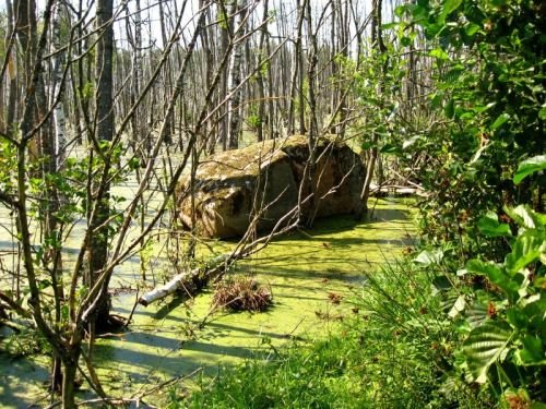 Камень брилевский