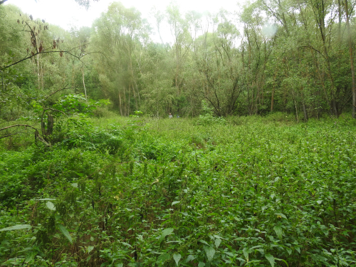 Vidomlianskaya lake depression