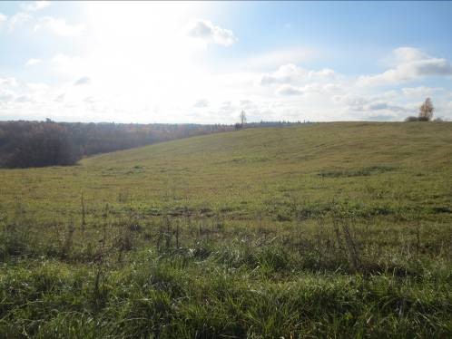 Podlozenka Gomelskaya mountain