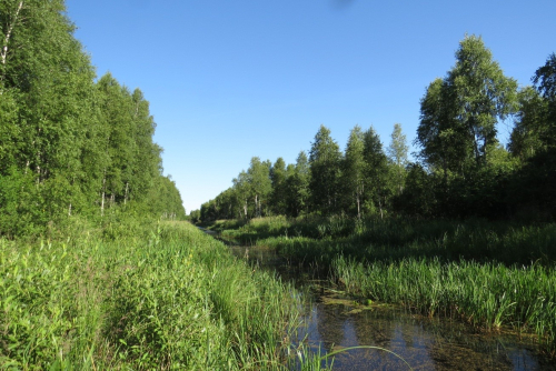 Reserve Divin-Veliky Les