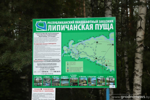 Заказник «Липичанская пуща»