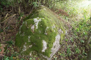 Kamen s Rybkami boulder