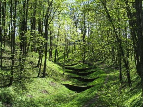 Логойский парк