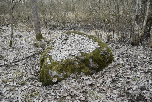 Perebrodsky Valun Sledovik boulder