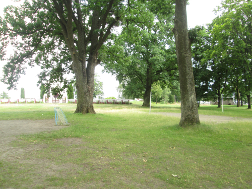 A fragment of an old park in the village of Zamshany